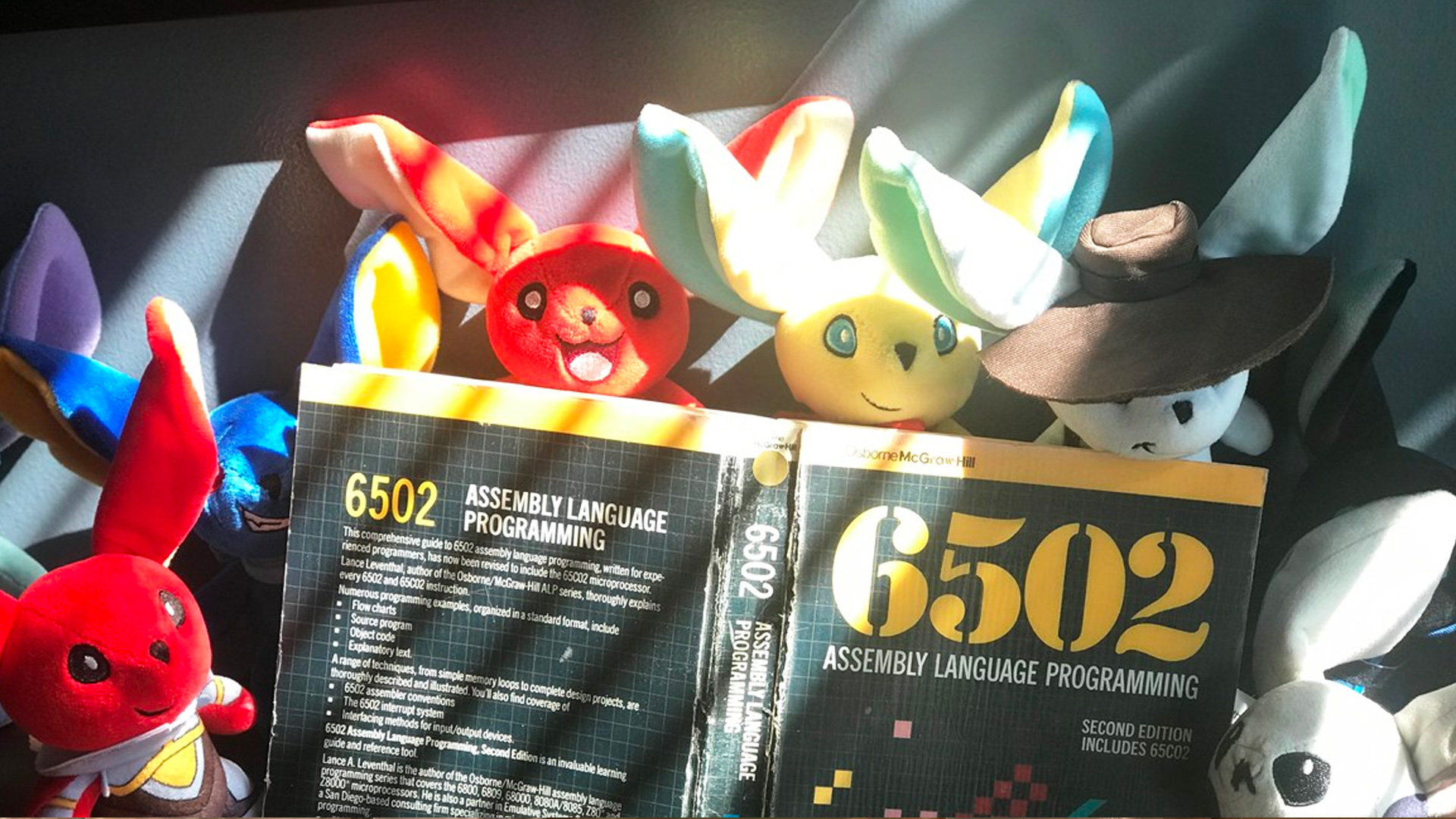 27,000 Moglins Arrive at the Port of Tampa