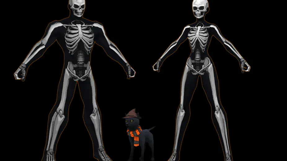 Skeletons Suits and Black Cat Costume