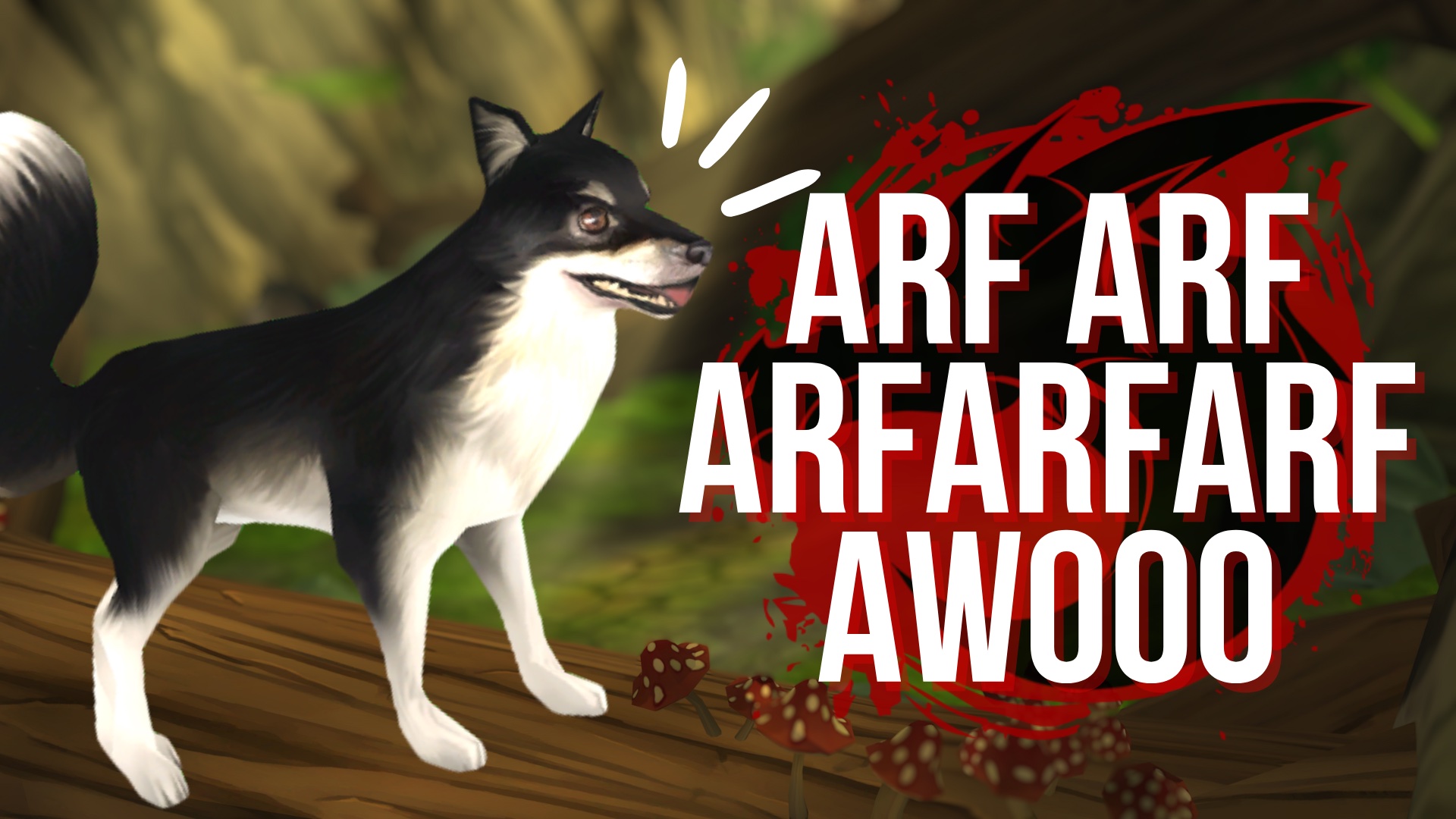 Sneak Peek and Dog Week